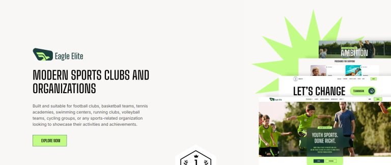 Modern Sports Clubs and Organizations
