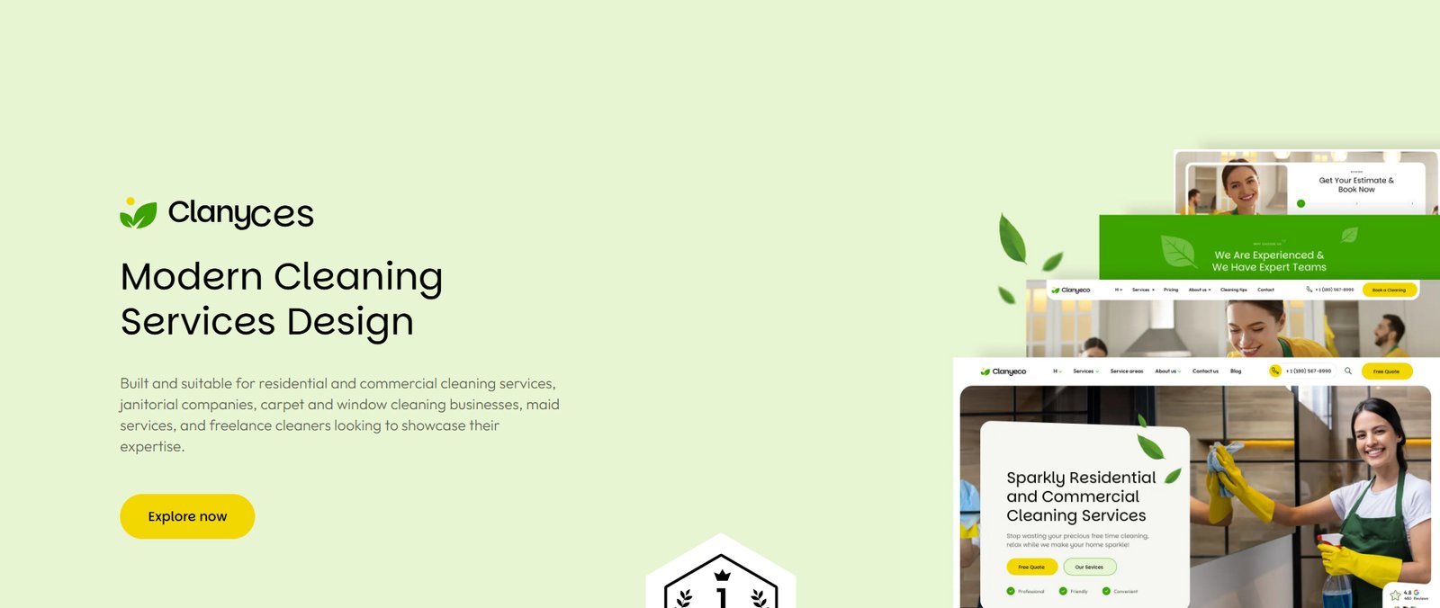 Modern Cleaning Services